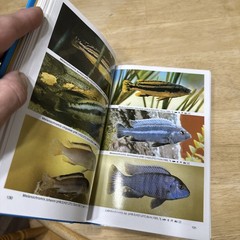 Dr Axelrods Mini Atlas of Freshwater Aquarium Fishes by Dr. Axelrod, Herbert R