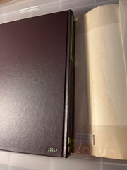 Vintage Cyclomancy The Secret of Psychic Power Control Frank Rudolph Young Book