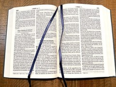 French Bible LARGE PRINT Compact, Louis Segond 1910, Marine Blue Vinyl