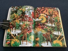 Brazil Vintage Travel Guide 3 Books Lonely Planet Insight Guides Moon Handbooks