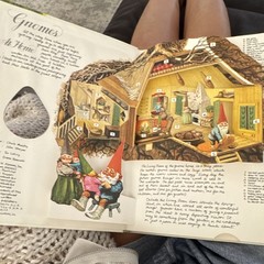 Harry N. Abrams The Pop-Up Book of Gnomes Pop-Up Illustrated Hardcover 1979