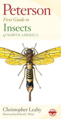 Peterson First Guide to Insects of North America – Paperback – VERY GOOD