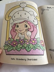 Strawberry Shortcake Coloring Book 400 Pages of Fun Sparkle and Shine