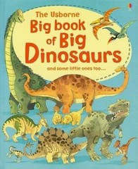 The Usborne Big Book of Big Dinosaurs – Hardcover By Frith, Alex – GOOD