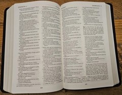 REB Revised English Bible Standard Text Edition Gray Leather RE532:T Cambridge