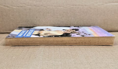 Dana James, Love’s Ransom, Paperback 1990