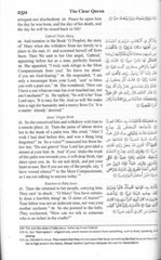 The Clear Quran English Translation Set of 3 / 6 /9 / 12 for Easy Dawah