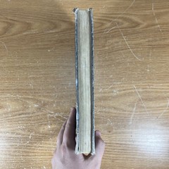 Vintage 1955 The Story of American Freedom – Edna Mcguire – Macmillan Company