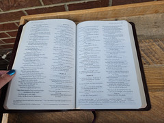 VG! TNIV Large Print Thinline Bible Deep Burgundy Bonded Leather OOP