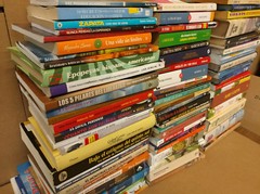 Lot of 10 Spanish ESPAÑOL Reading MEXICO Literature Books *RANDOM* UNSORTED MIX