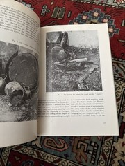 The Royal Graves at Vergina by M. Andronikos 1980 53 Pages Paperback