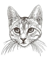 Dogs and Cats Coloring Book for All Ages 108 Pages 8.5 x 11 for All Ages