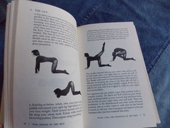 YOGA SCIENCE OF THE SELF By Marcia Moore + Mark Douglas 1st Ed HCDJ