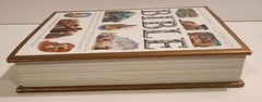 The Children’s Illustrated Bible Victoria Parker 512 Pages