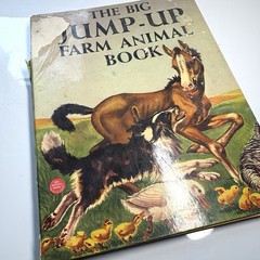THE BIG JUMP UP FARM ANIMAL BOOK 1954 Huge Pop Ups Beautiful Illustrations