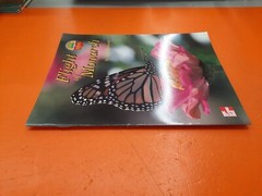 ⭐️⭐️⭐️⭐️⭐️ Flight Of The Monarch Janet Riehecky