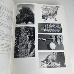 Know It & Grow It Guide II Identification and Use of Landscape Plants 720 Pages