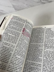 Holy Bible NKJV Giant Print by Nelson Publishers 334BC Leather Binding Index Tab