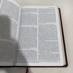 Holy Bible Tyndale Slimline Reference Edition ~ 2004 Bonded Leather Burgundy NLT