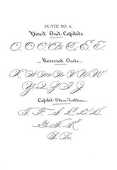 1894 Herhold’s compendium of modern penmanship 77 Pages