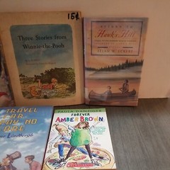 Lot of 10 Mixed Random Children’s Books and Young Adult Novels, Classic Stories