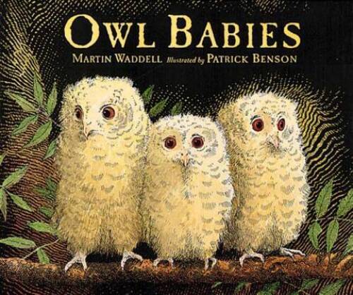 Owl Babies – Hardcover By Waddell, Martin – GOOD