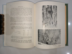 Serian Area West Sarawak Malaysia | A. C. Pimm 1965 | Geol Survey Report +3 Maps