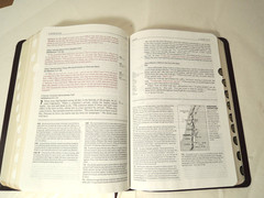 Life Application Study Bible NIV Bonded Leather Thumb Indexed 1991 Red Letter