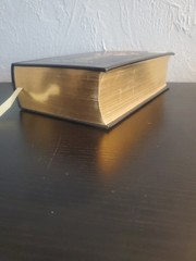 The Holy Bible King James Version Canterbury Classics Gustave Dore – 2013 KJV