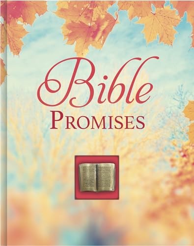 Bible Promises Deluxe Daily Pr – GOOD