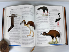 RARE „The Illustrated Encyclopedia of the Prehistoric World” 512 Pgs 9 X 11.5″