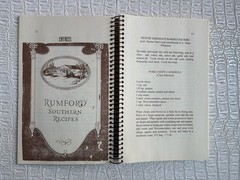 VTG Ashantilly Cookbook Darien Georgia Wire Spiral Bound Haynes Family 200 Pages
