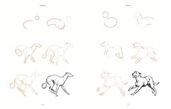 Draw 200 Animals: The Step-by-Step Way to Draw Horses, Cats, Dogs, Birds, Fish,
