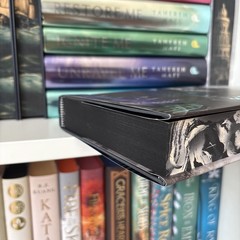 Mortedant’s Peril by R.J. Barker Fairyloot Epic Fantasy Exclusive Ed DAMAGED