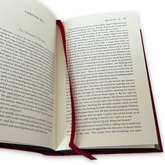 DRACULA by Bram Stoker Deluxe Flexi Bound Faux Leather Special Gift Edition Book