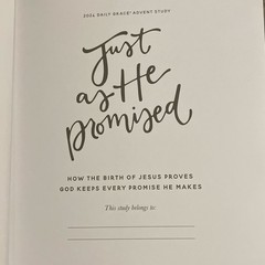 The Daily Grace Co. Just as He Promised 2024 Advent Bible Study Guide PB
