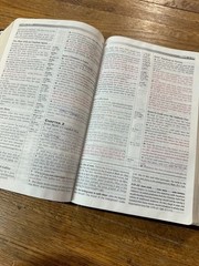 PROPHECY STUDY BIBLE Burgundy Leather KJV Red Letter TIM LAHAYE/DAVID WOOD 2000