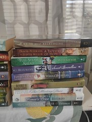 A Large Set Total Of 21 Babour House Novels