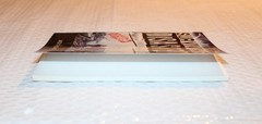 Special Edition Book Surviving Disaster Crisis Survival By Jack Thomas 83 Pages