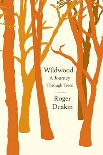Wildwood
