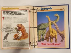 Dinosaur Cards By Newfield Publication 1994. 3 Ring Binder and 83 Pages/Inserts