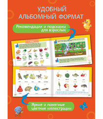 Альбом по развитию речи для детей 3-6 лет
