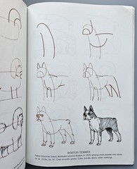Draw 50 Animals Books Lot Lee J Ames Horses Cats Dogs Step-by-Step Drawing