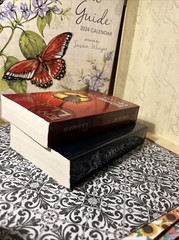 Sinsajo & En Llamas by Suzanne Collins Paperback Set 2 Books Spanish Edition