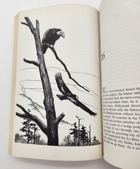 Wild America by Roger Peterson & James Fisher 1963 paperback