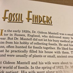 Dinosaur Released, The True Story About Dinosaurs And Humans Lyons & Butt 2nd Ed