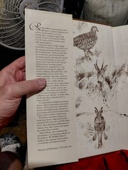 The Living Forest by Rien Poortvliet (1979, Hardcover)