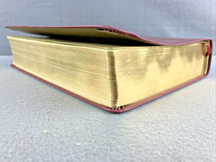 The Daily Grace Co Illuminated ESV Bible Art Journaling Softcover With Box