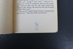 The Scarlet Letter Nathaniel Hawthorne 1987 Edition Classic American Lit Adde PB