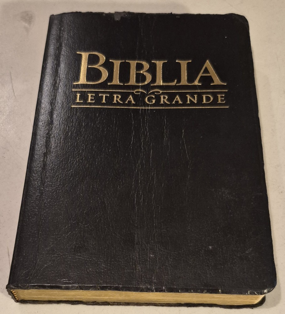 Biblia Letra Grande Grupo Nelson 2006